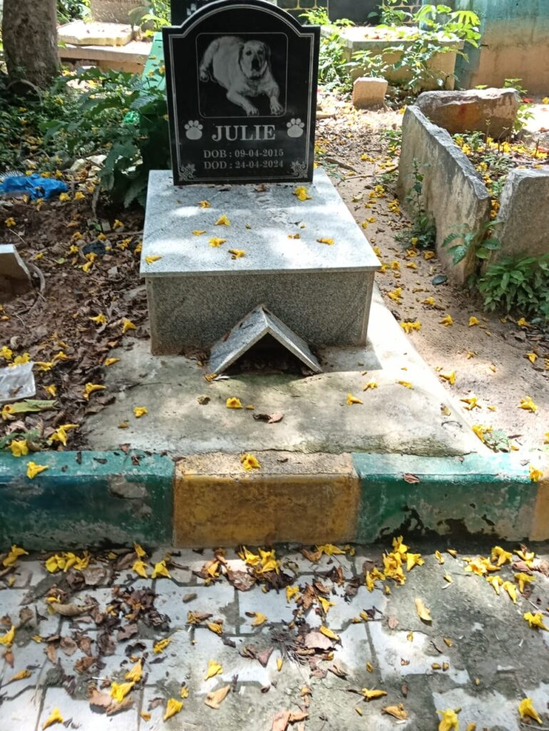 sadguru dog & cat funeral services