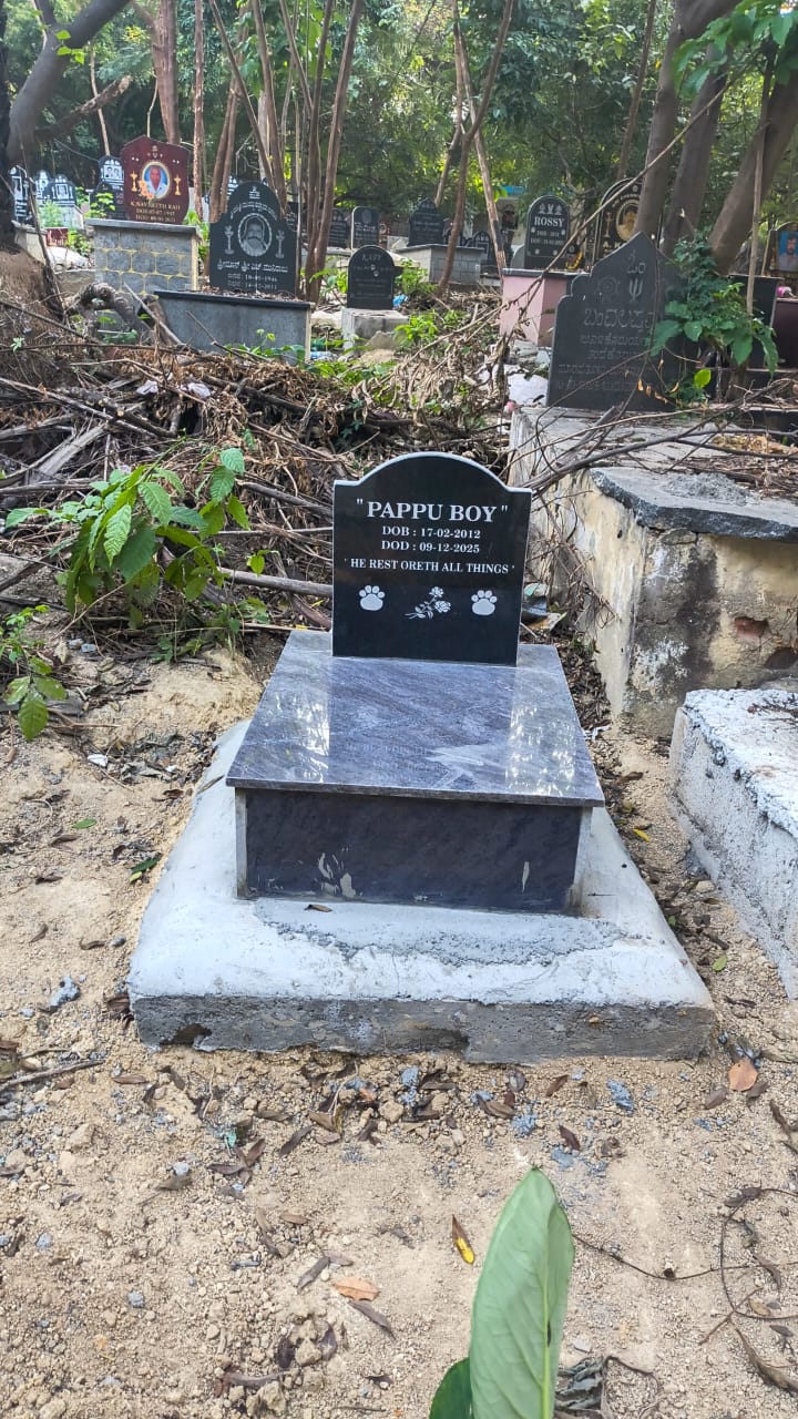 cremation